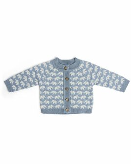 Smallstuff baby vestje Finn in Lichtblauw