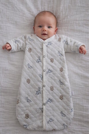 prematuur slaapzakje dino Sand